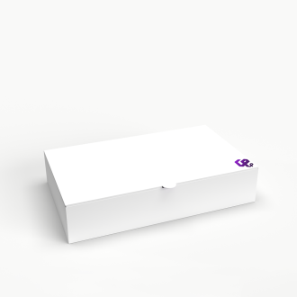 Double Locked Wall Lid